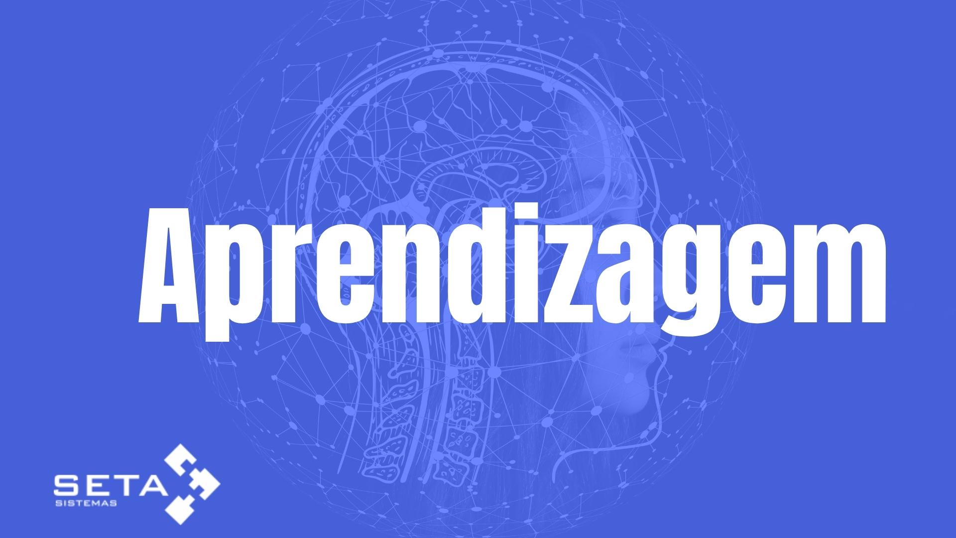 Estilos de aprendizagem e inteligência múltiplas